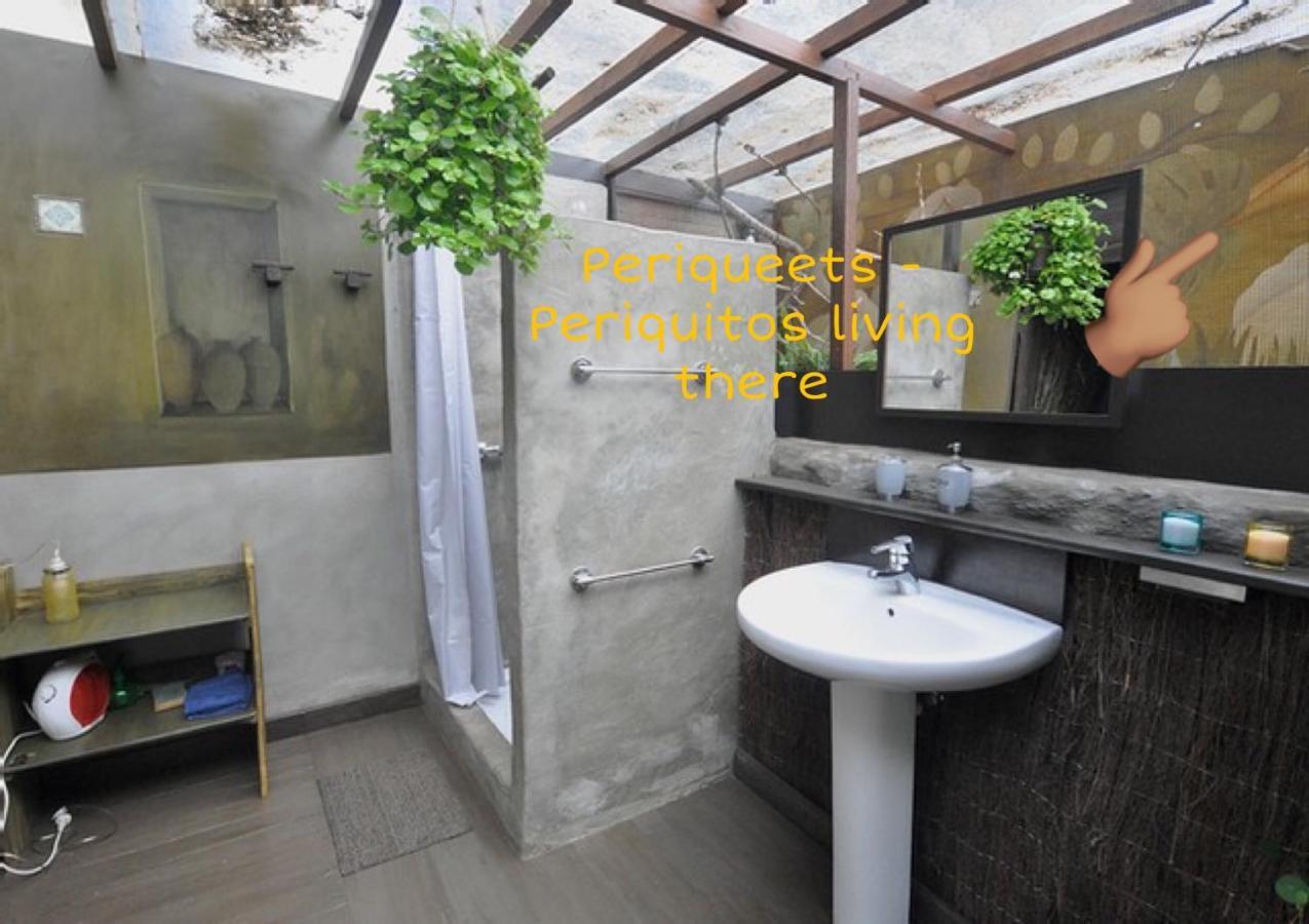 Studio Mazo The Glamping Lodero エクステリア 写真